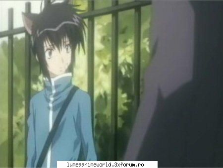 ritsuka ... albumul lui soubi